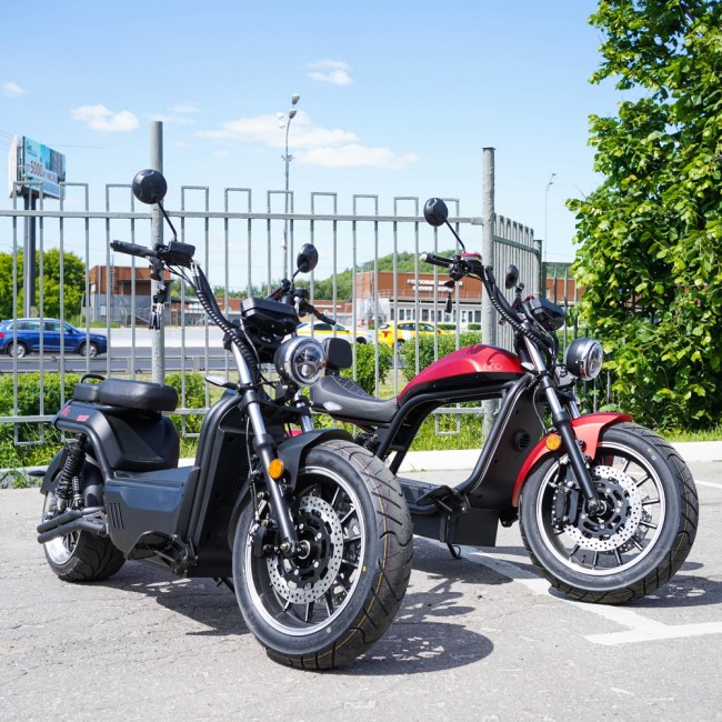 EcoMoto LION E3000W