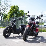 EcoMoto LION E3000W