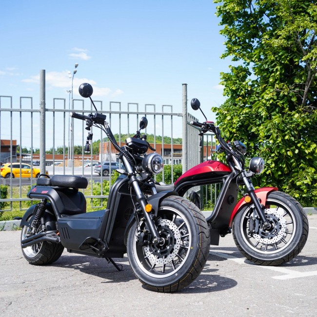 EcoMoto LION E3000W
