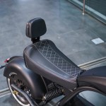 EcoMoto LION E3000W