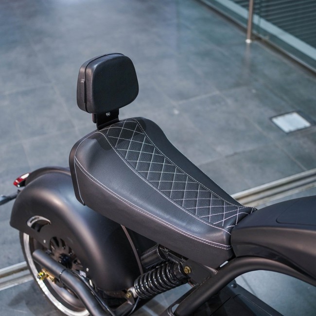 EcoMoto LION E3000W