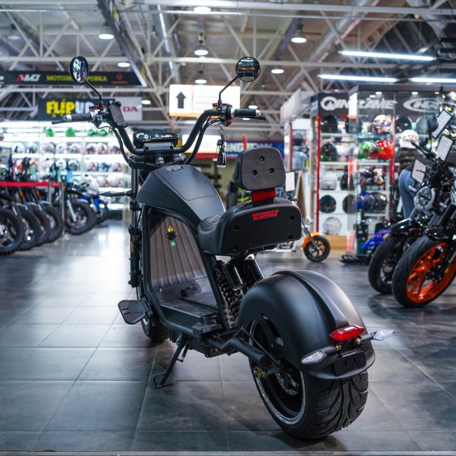 EcoMoto LION E3000W
