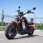 EcoMoto LION E3000W