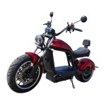 EcoMoto LION E3000W