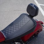 EcoMoto LION E3000W