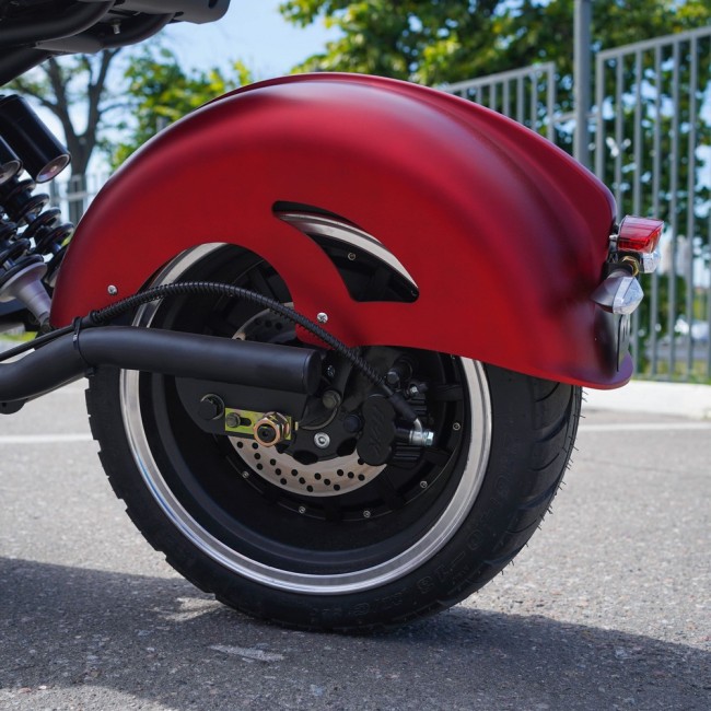 EcoMoto LION E3000W