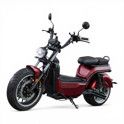 EcoMoto Premium LION E3900W