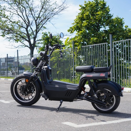 EcoMoto Premium LION E3900W