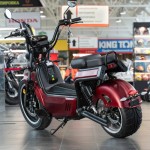 EcoMoto Premium LION E3900W