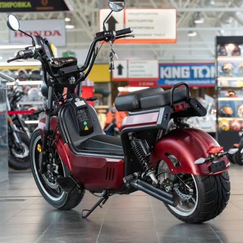 EcoMoto Premium LION E3900W