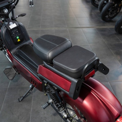 EcoMoto Premium LION E3900W