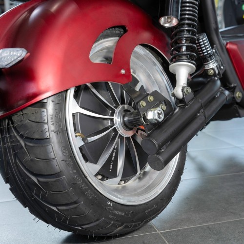 EcoMoto Premium LION E3900W