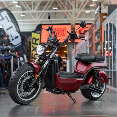 EcoMoto Premium LION E3900W