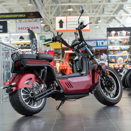 EcoMoto Premium LION E3900W