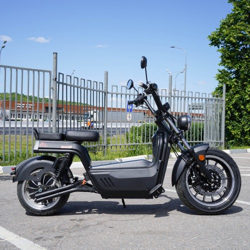 EcoMoto Premium LION E3900W