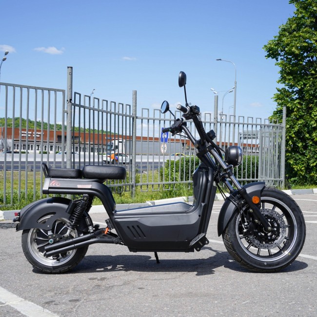 EcoMoto Premium LION E3900W
