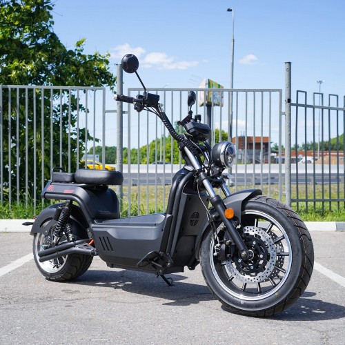 EcoMoto Premium LION E3900W