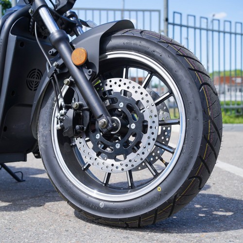 EcoMoto Premium LION E3900W