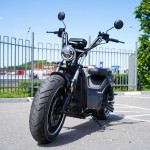 EcoMoto Premium LION E3900W