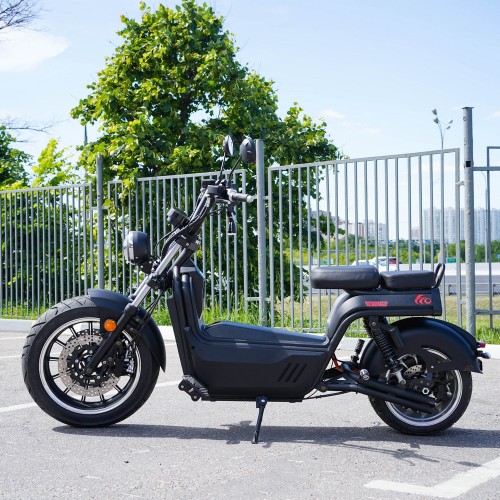 EcoMoto Premium LION E3900W