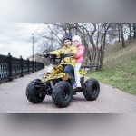 GreenCamel Гоби К70