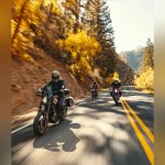 ЭлектроМотоцикл LiveWire S2 Alpinista