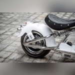 MangoSteen M1PS