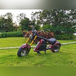 Электроскутер MangoSteen M8S