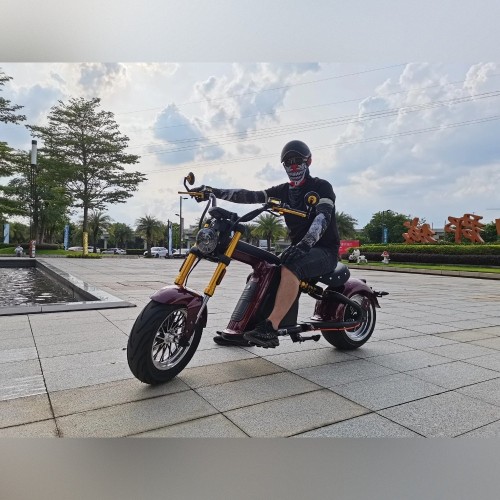 Электроскутер MangoSteen M8S