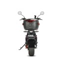 White Siberia Mini R