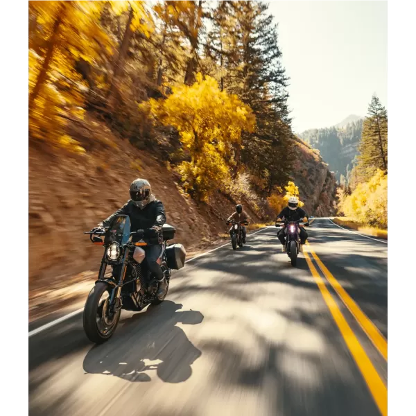 LiveWire S2 Alpinista