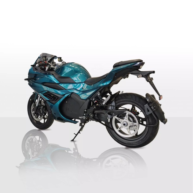 ELECTRO Ducati Panigale