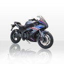 ELECTRO BMW RR