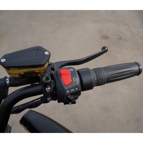 ELECTRO Ducati Diavel