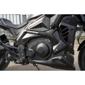 ELECTRO Ducati Diavel