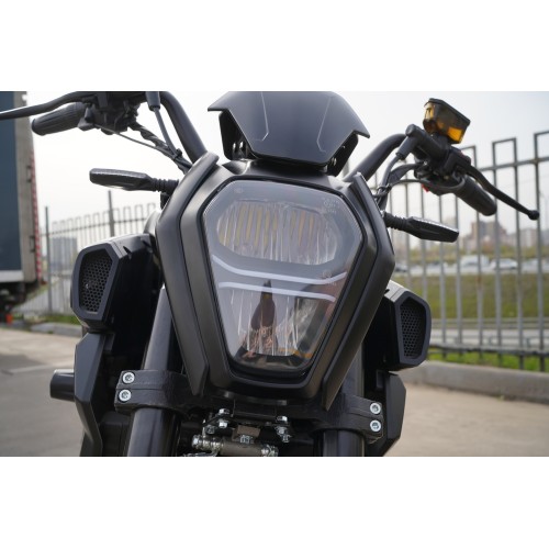 ELECTRO Ducati Diavel