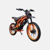 Kugoo Wish 02 Pro